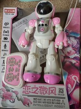 programable and remote control robot