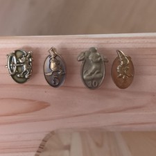 Lot De Pin's Des 1, 5, 10 Et 15 Ans D'ancienneté Castmembers Disneyland Paris