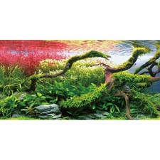 48x18 in Branches Fish Tank Background Stone Seaweed Aquarium Backdrop AWER...