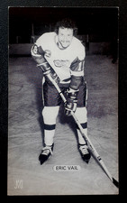 ERIC VAIL 1980'S J.D. McCARTHY RED WINGS HOCKEY POSTCARD      10306