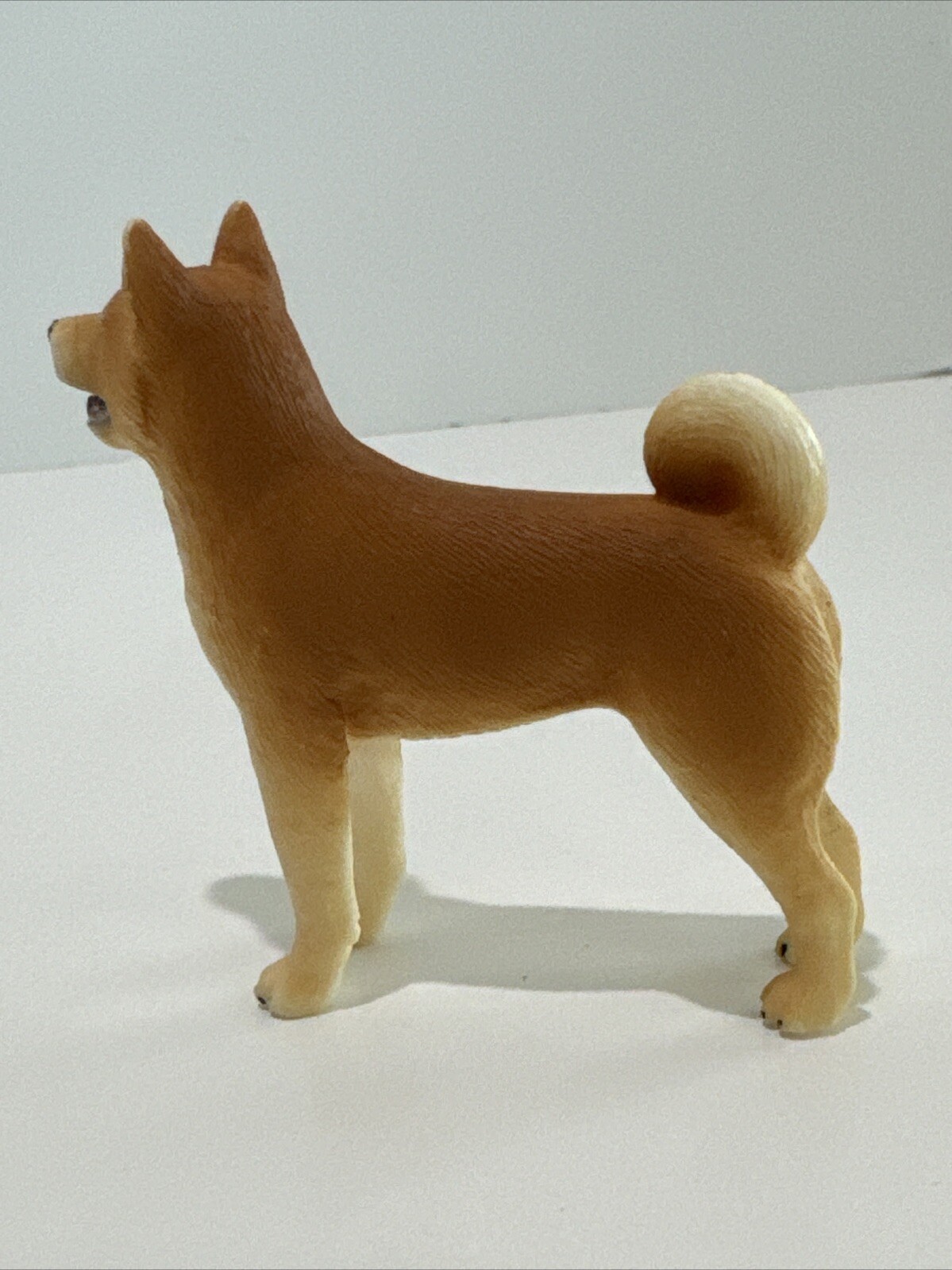 Picture 4 of 14