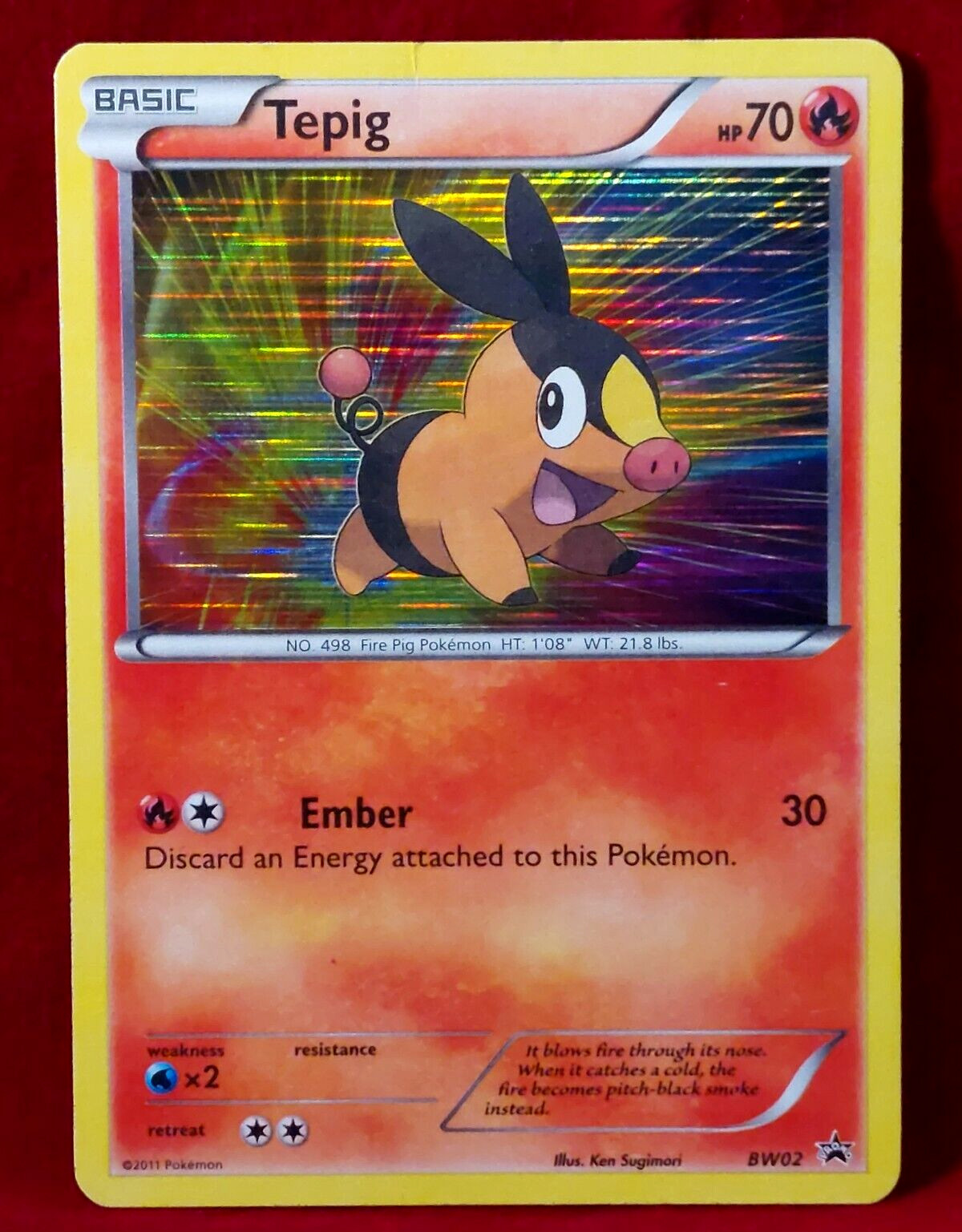 TEPIG Holo Rare Black Star Promo POKEMON 2011 Black&White TCG Card# 25/145