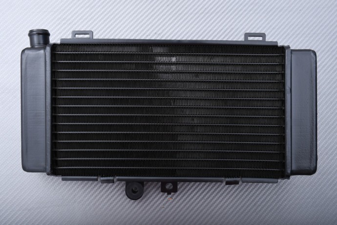Radiateur aluminium premium pour refroidissement Honda Hornet 250