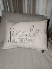 Christmas holiday decorative throw feather pillow Jingle All the Way silver soft