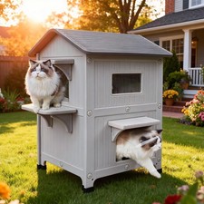 Plastic Insulated Outdoor Cat House with Escape Door, 2 Story Waterproof Cat ...