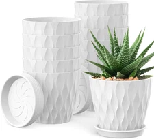12 Pack 4 Inch Small Plant Pots with Saucers, Waffle Texture Plastic Planters 