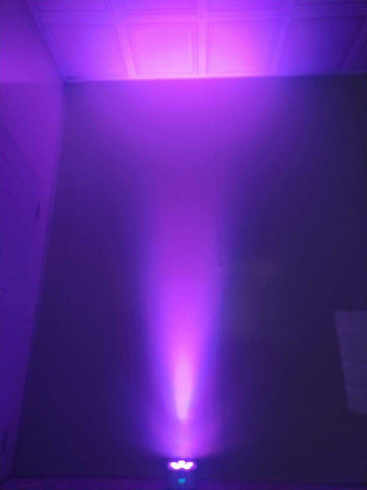 Picture 6 of 19