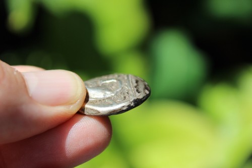 Moneda de plata griega Stater de Ainos, Tracia c. 382 - 379 aC - Imagen 8 de 12
