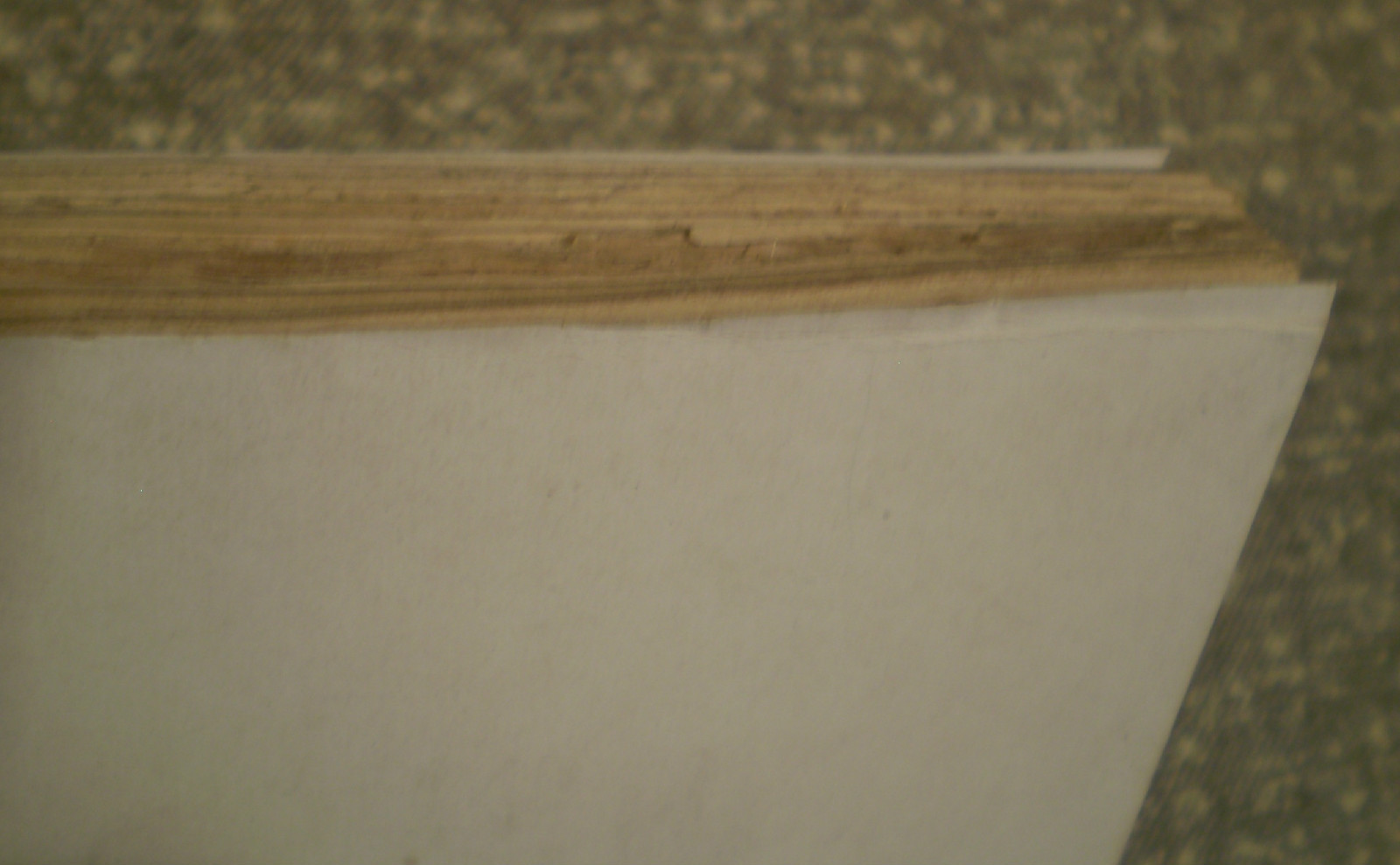 Picture 5 of 12