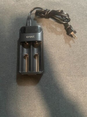 Efest LUSH Q2 2 Channel Battery Charger