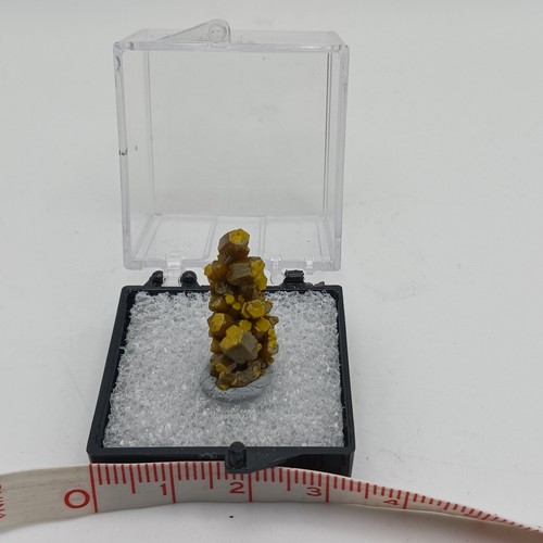 AESTHETIC Pyromorphite Crystal Thumbnail FRANCE Dk Green 1.25" Perky Display - Picture 7 of 9