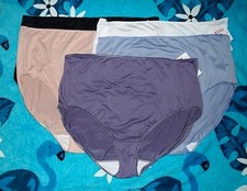 Colors  HANES Microfiber BRIEF Panties  Size 8 or 10 NEW