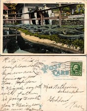 Alligator Farm Hot Springs Arkansas AR Postcard