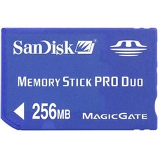 Shoot And Store Memory Stick Pro Duo 256MB Magicgate MagicGate Very Good 6E