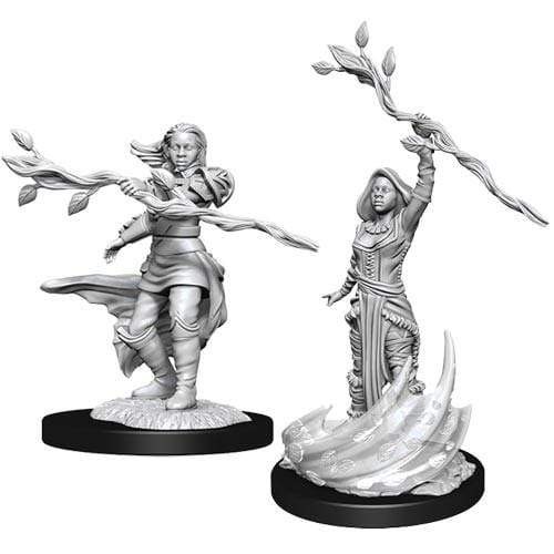 D&D Nolzur's Marvelous Miniatures: Human Druid Female - Picture 1 of 1