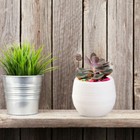 Runde Pflanzkörbe, Blumentöpfe, Körbe