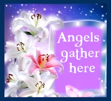 ANGELS GATHER HERE. flower fairy belief sparkle fantasy happy thought  MAGNET