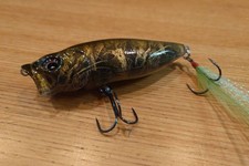 Megabass Pop Max Jungle Tree limited color POPMAX
