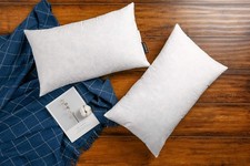 12 20 Goose Down Feather Throw Pillow Inserts Set of 2 Down Filling
