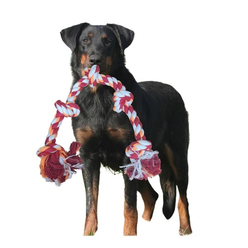 Dog Rope Toys 5 Knots Tough Rope Chew Toy Aggressive Chewers L XL 82cm 147cm UK - Picture 5 of 42
