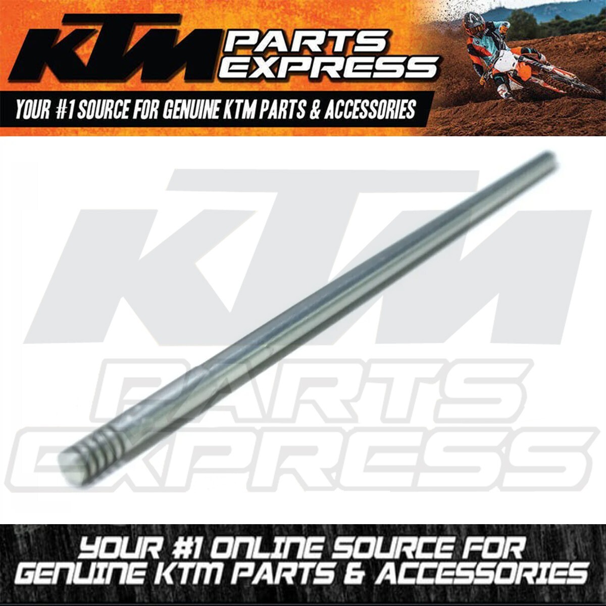 pithing needle 部分光沢 Foil】《真髄の針/Pithing Needle》※部分光沢[MPS] 茶R | 日本最大級