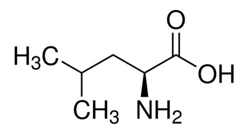 L-Leucin (98,5-101,5%, USP, Food Grade) - Bild 1 von 1