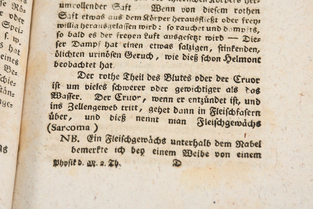 Bild 8 von 12