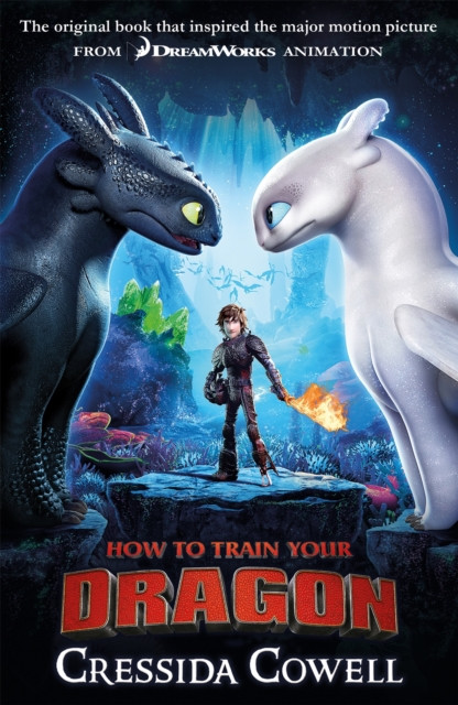 How to Train Your Dragon FILM TIE IN (3RD EDITION) - Free Tracked Delivery