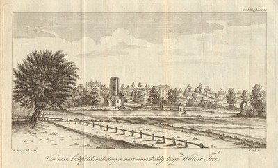 Ansicht bei Lichfield, Staffordshire, u.a. großer Weidenbaum 1785 Druck