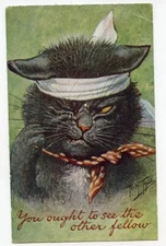 Thiel Cat "You Ought to See the Other Fellow"