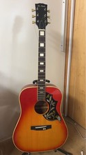 Pro Martin Acoustic Guitar Sunburst