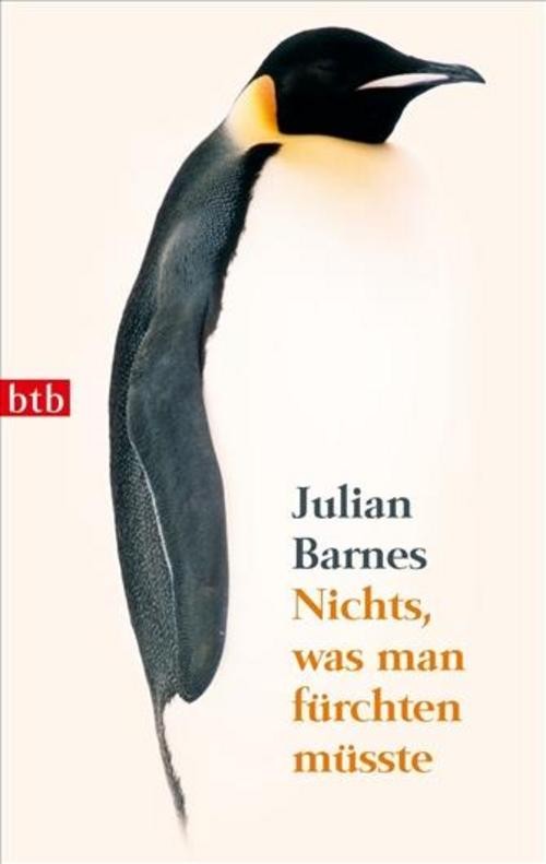 Nichts, was man fürchten müsste Julian Barnes