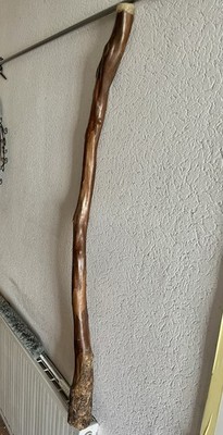 Didgeridoo
