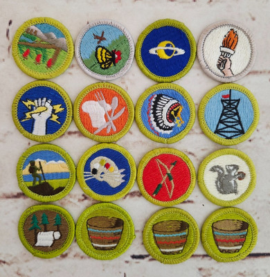 BSA Boy Scout Merit Badges, Pre-owned