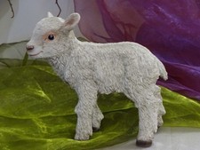 Dekofigur Baby Schaf Lamm Lämmchen Polyresin Ostern Frühling naturgetreu 22cm