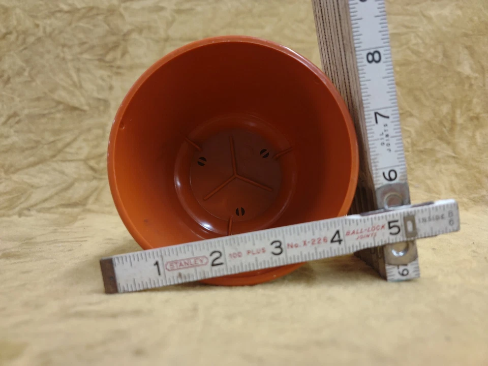 Maceta Rubbermaid con platillo adjunto plástico naranja nuevo de stock Foto 3 de 4