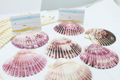 10 Natural Shell Place Card Holder Beach Wedding Favor Party Decor Table Seating