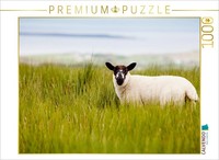 Calvendo Puzzle LäMmerzeit In Irland 1000 Teile Puzzle Quer | 1000 Teile Lege-Gr