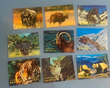 9 Bhutan 3D Stereo Fauna Wild Animals 1970 Stamps All Mint (MNH)