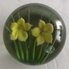 Bild 11 von 11