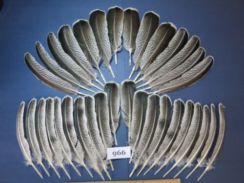 34 Pcs Natural Turkey Wing Feathers, Fly Tying Materials, Craft Feathers. (#966) - Photo 1/9
