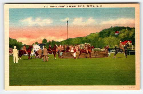 Vintage Linen Postcard T-2 Horse Show Harmon Field Tryon NC Asheville Post Card