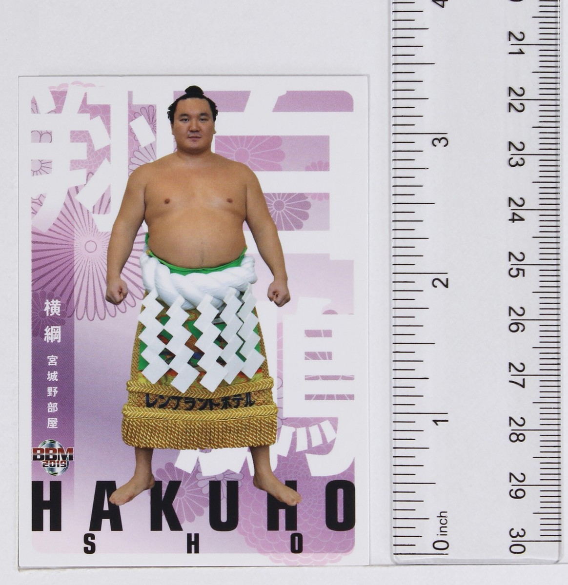SUMO様 507px-