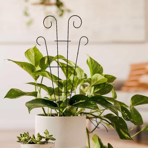 2Pcs Metal Garden Plant Climbing Frame Indoor Plant Trellis Houseplants Support - Picture 6 of 7
