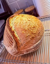 Wild Yeast Sourdough Starter Heritage San Francisco - 241yrs Old Top Seller