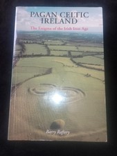 Pagan Celtic Ireland: The Enigma Of Irish Iron Age Barry Raftery History