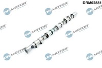 Nockenwelle Auslassseite FÜR Audi, Vw, Seat - Dr.Motor Automotive DRM02881