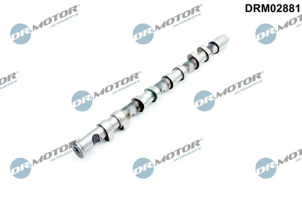 Nockenwelle Auslassseite FÜR Audi, Vw, Seat - Dr.Motor Automotive DRM02881-image