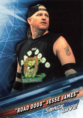 2019 Topps WWE Smackdown Jesse James Road Dogg #84