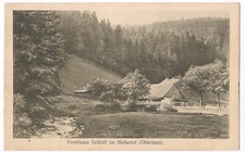 AK St. Andreasberg Forsthaus Schluft im Siebe...